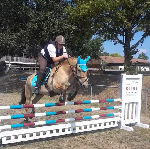 Pferd 10